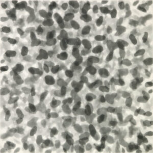 Work86-1, 41×41cm , etching, 1986, ed.27/50