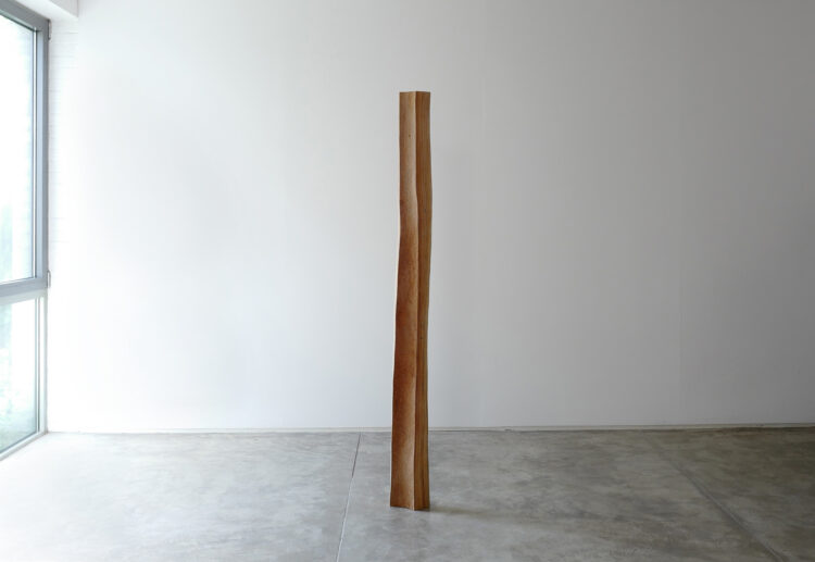 In-Su Choi