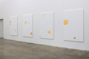Installation View, Gallery Shilla, Daegu