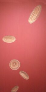3 Pluralization-3, 243 x 122 x 6.8 cm, wood,acrylic, 2007