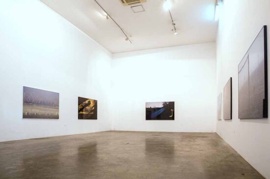 Tim Parchikov, Installation view, 2014
