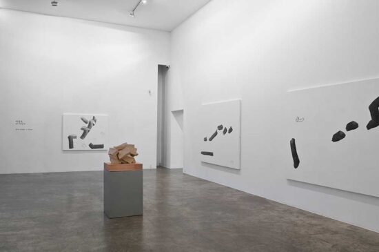 Lee Kang So, Installation view, 2012