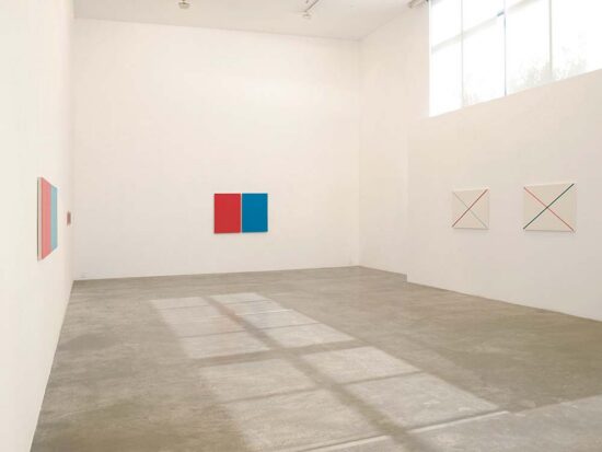 Takashi Suzuki, Installation view, 2012