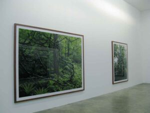 Boomoon, Installation view, 2010